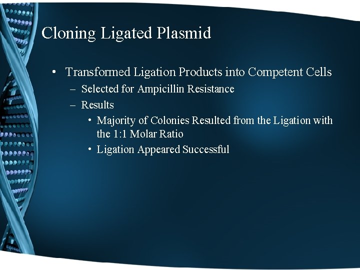Cloning Ligated Plasmid • Transformed Ligation Products into Competent Cells – Selected for Ampicillin