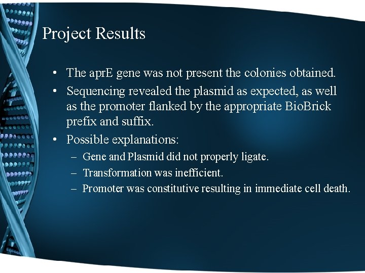 Project Results • The apr. E gene was not present the colonies obtained. •