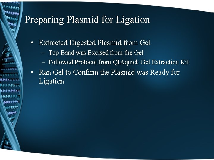 Preparing Plasmid for Ligation • Extracted Digested Plasmid from Gel – Top Band was