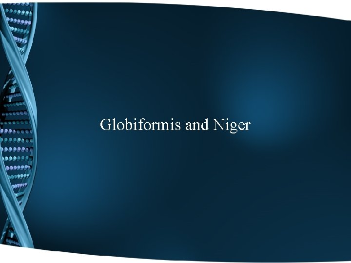 Globiformis and Niger 