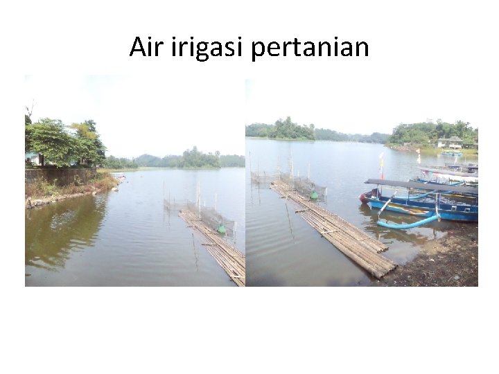 Air irigasi pertanian 