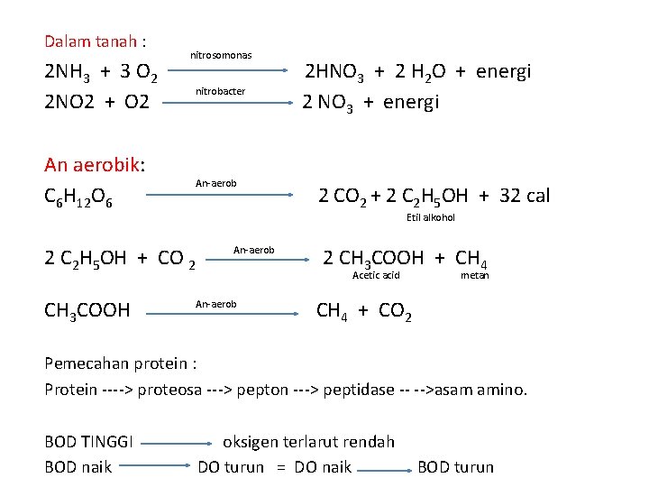 Dalam tanah : 2 NH 3 + 3 O 2 2 NO 2 +