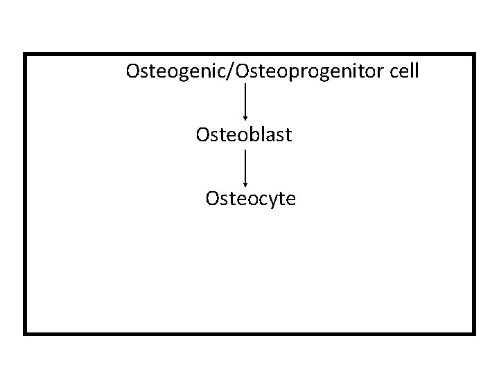 Osteogenic/Osteoprogenitor cell Osteoblast Osteocyte Osteogenic/Osteoprogenitor cell Osteoblast Osteocyte