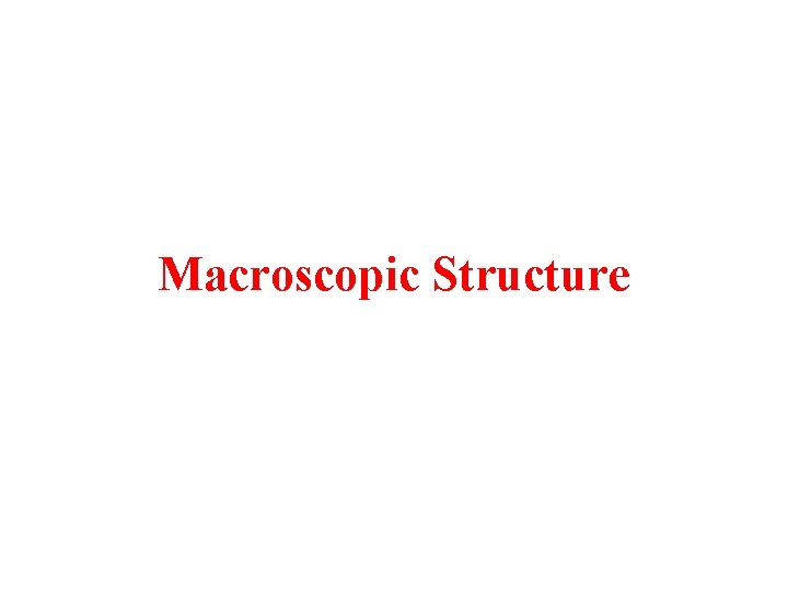 Macroscopic Structure Macroscopic Structure