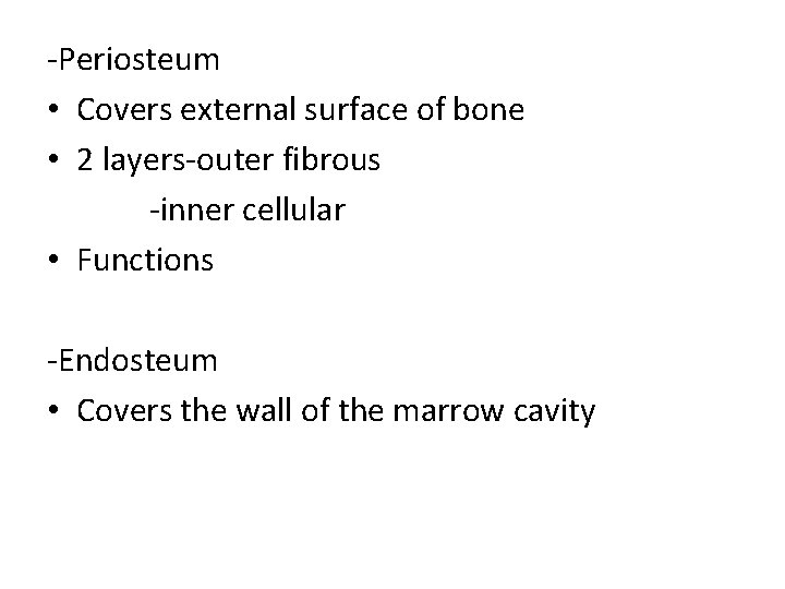 -Periosteum • Covers external surface of bone • 2 layers-outer fibrous -inner cellular • -Periosteum • Covers external surface of bone • 2 layers-outer fibrous -inner cellular •