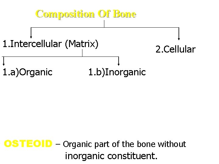Composition Of Bone 1. Intercellular (Matrix) 1. a)Organic 2. Cellular 1. b)Inorganic OSTEOID – Composition Of Bone 1. Intercellular (Matrix) 1. a)Organic 2. Cellular 1. b)Inorganic OSTEOID –
