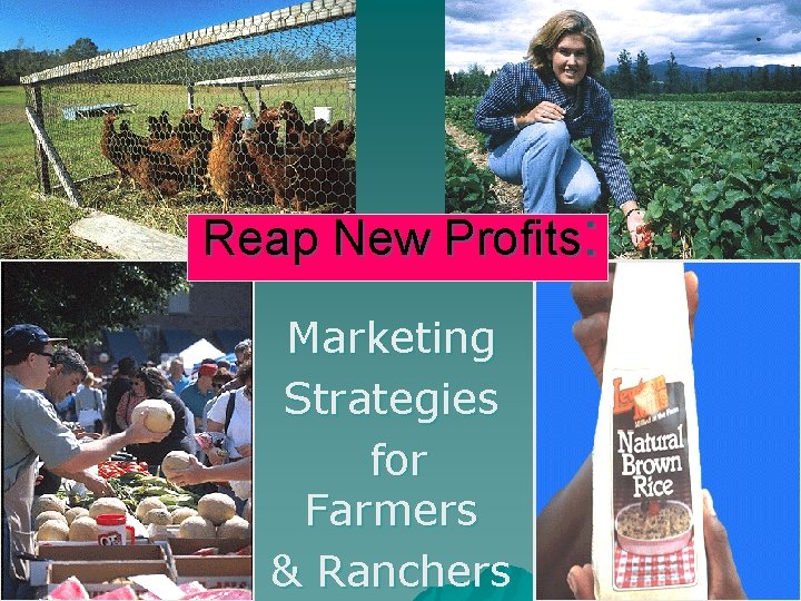 Reap New Profits: Marketing Strategies for Farmers & Ranchers 