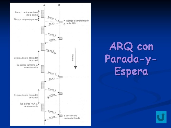 ARQ con Parada-y. Espera 