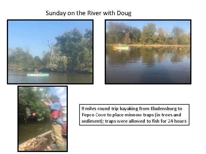 Sunday on the River with Doug 8 miles round trip kayaking from Bladensburg to Sunday on the River with Doug 8 miles round trip kayaking from Bladensburg to