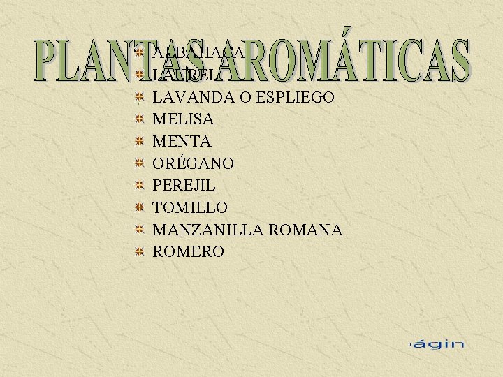 ALBAHACA LAUREL LAVANDA O ESPLIEGO MELISA MENTA ORÉGANO PEREJIL TOMILLO MANZANILLA ROMANA ROMERO 