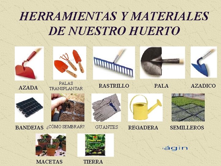 HERRAMIENTAS Y MATERIALES DE NUESTRO HUERTO AZADA PALAS TRANSPLANTAR BANDEJAS ¿CÓMO SEMBRAR? MACETAS RASTRILLO