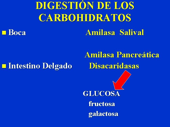 DIGESTIÓN DE LOS CARBOHIDRATOS n Boca Amilasa Salival Amilasa Pancreática n Intestino Delgado Disacaridasas