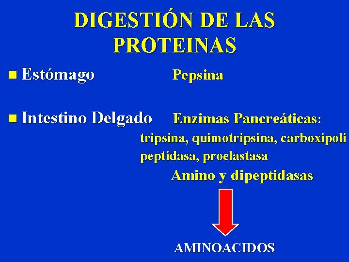 DIGESTIÓN DE LAS PROTEINAS n Estómago Pepsina n Intestino Delgado Enzimas Pancreáticas: tripsina, quimotripsina,