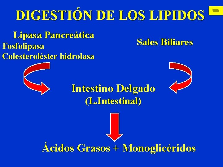 DIGESTIÓN DE LOS LIPIDOS Lipasa Pancreática Fosfolipasa Colesteroléster hidrolasa Sales Biliares Intestino Delgado (L.