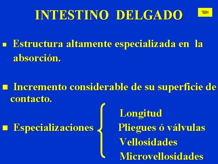 INTESTINO DELGADO n Estructura altamente especializada en la absorción. n Incremento considerable de su