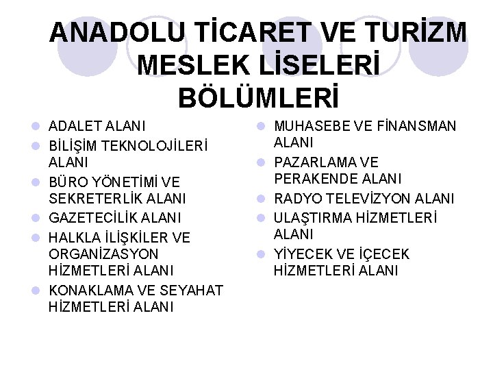 ANADOLU TİCARET VE TURİZM MESLEK LİSELERİ BÖLÜMLERİ l ADALET ALANI l BİLİŞİM TEKNOLOJİLERİ ALANI