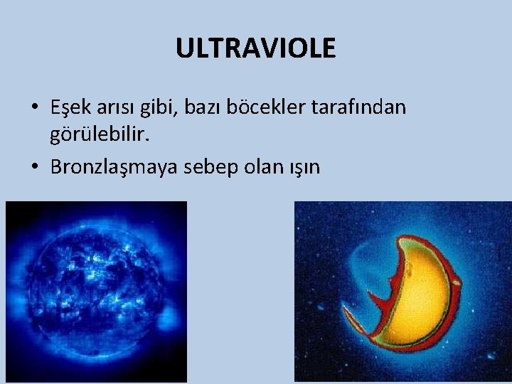 ULTRAVIOLE • Eşek arısı gibi, bazı böcekler tarafından görülebilir. • Bronzlaşmaya sebep olan ışın