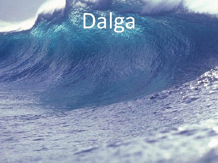 Dalga 