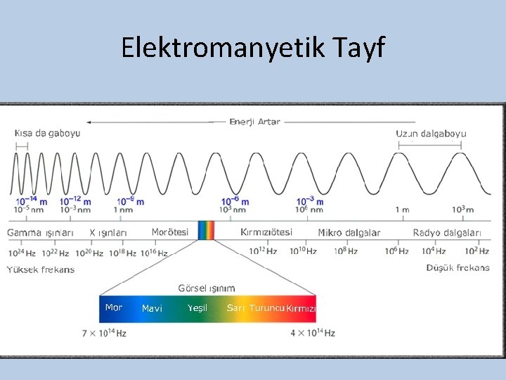 Elektromanyetik Tayf 