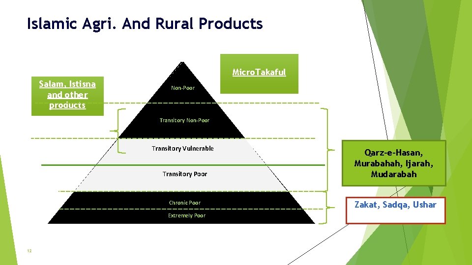 Islamic Agri. And Rural Products Micro. Takaful Salam, Istisna and other products Non-Poor Transitory