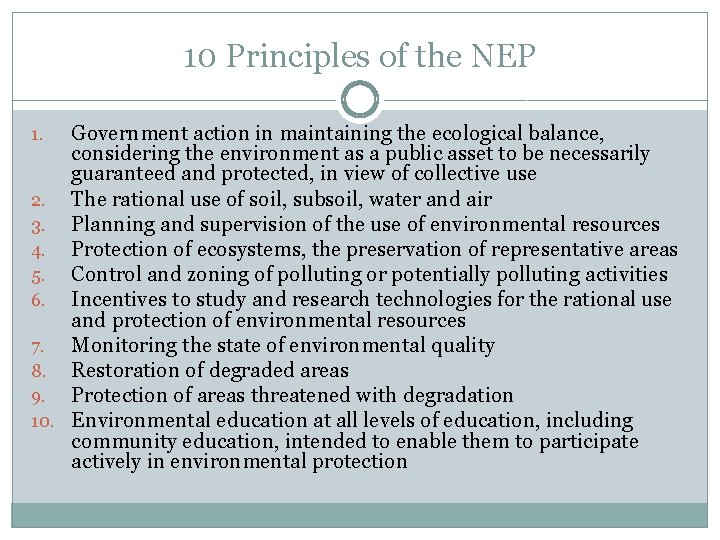 10 Principles of the NEP Government action in maintaining the ecological balance, considering the