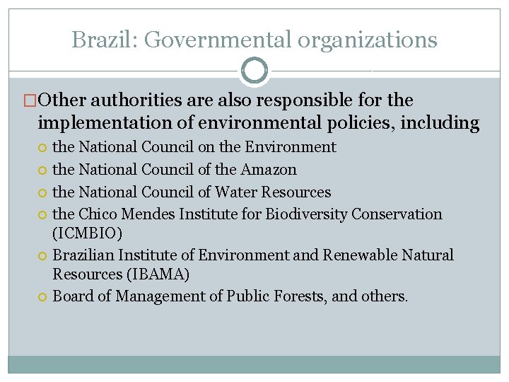 Brazil: Governmental organizations �Other authorities are also responsible for the implementation of environmental policies,