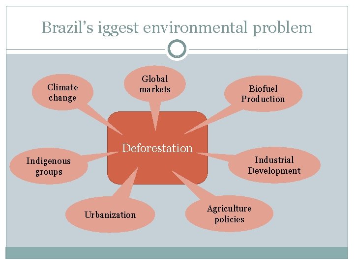 Brazil’s iggest environmental problem Global markets Climate change Biofuel Production Deforestation Industrial Development Indigenous