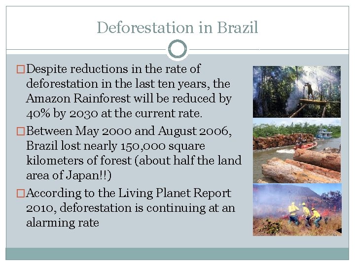 Deforestation in Brazil �Despite reductions in the rate of deforestation in the last ten