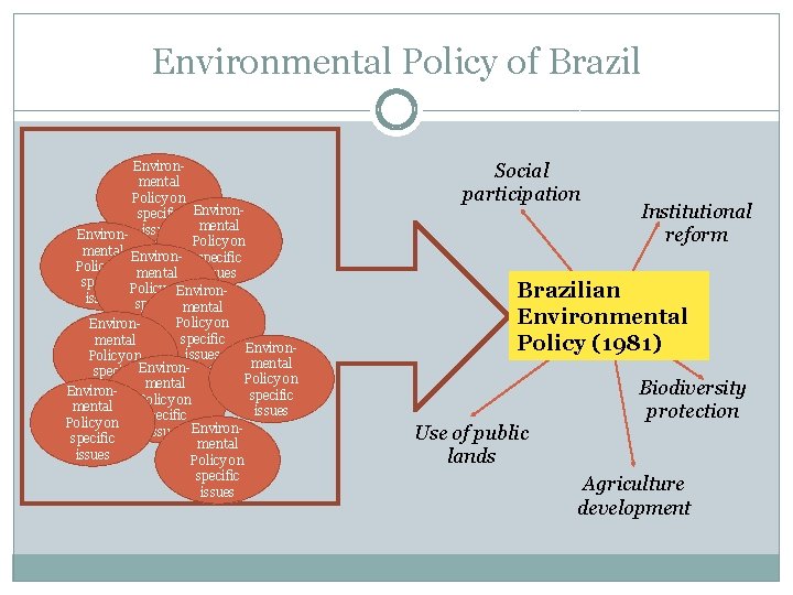 Environmental Policy of Brazil Environmental Policy on specific Environmental Environ- issues Policy on mental