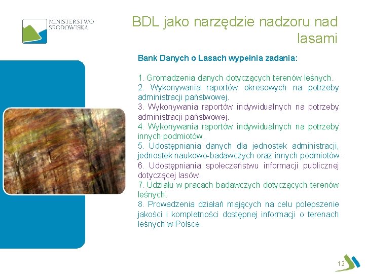 BDL jako narzędzie nadzoru nad lasami Bank Danych o Lasach wypełnia zadania: 1. Gromadzenia