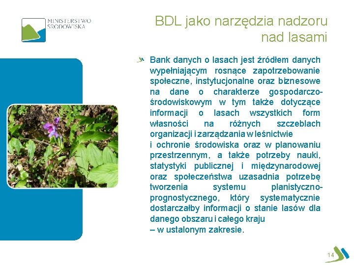 BDL jako narzędzia nadzoru nad lasami Bank danych o lasach jest źródłem danych wypełniającym