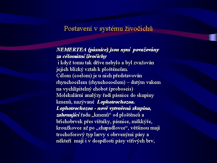 Postavení v systému živočichů NEMERTEA (pásnice) jsou nyní považovány za célomátní živočichy i když