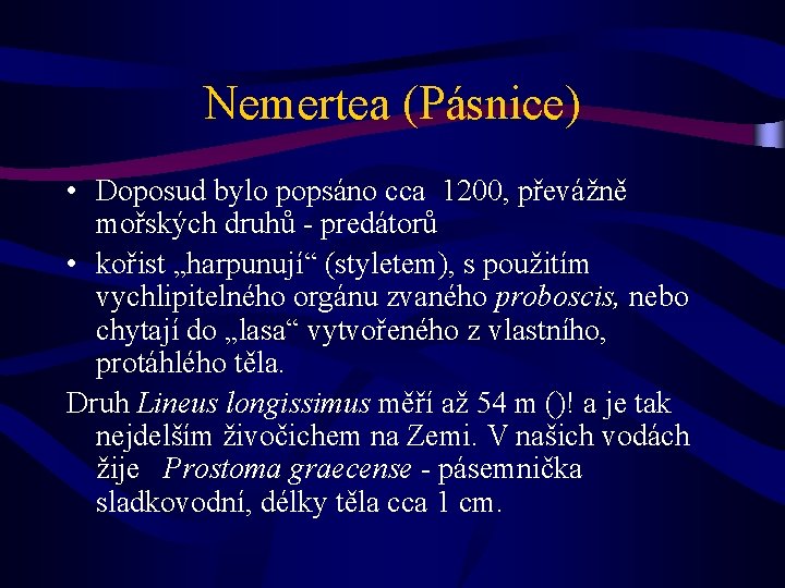 Nemertea (Pásnice) • Doposud bylo popsáno cca 1200, převážně mořských druhů - predátorů •