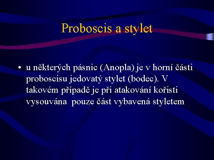 Proboscis a stylet • u některých pásnic (Anopla) je v horní části proboscisu jedovatý