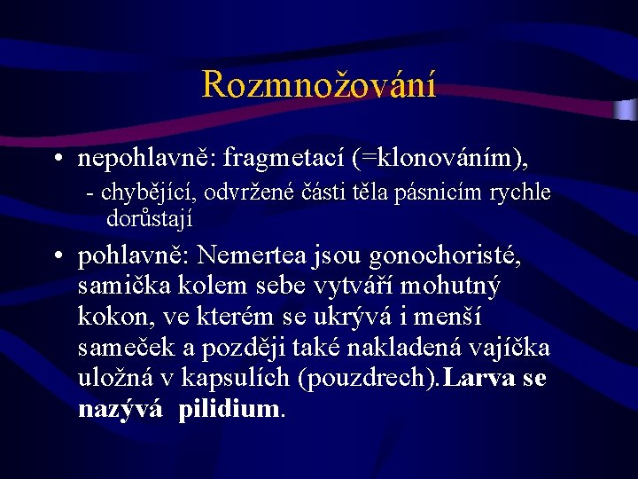 Rozmnožování • nepohlavně: fragmetací (=klonováním), - chybějící, odvržené části těla pásnicím rychle dorůstají •