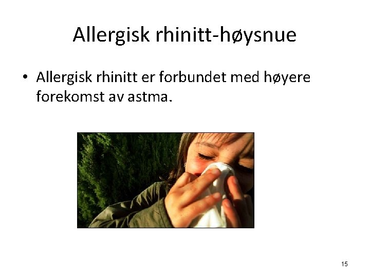 Allergisk rhinitt-høysnue • Allergisk rhinitt er forbundet med høyere forekomst av astma. 15 
