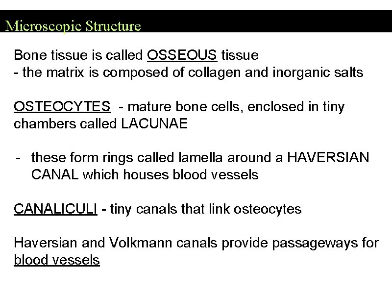 Microscopic Structure Bone tissue is called OSSEOUS tissue - the matrix is composed of