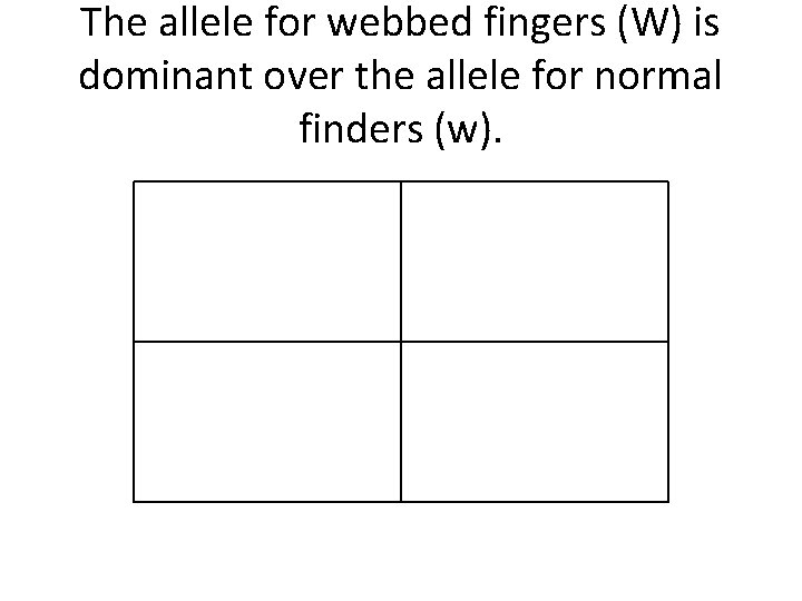 The allele for webbed fingers (W) is dominant over the allele for normal finders