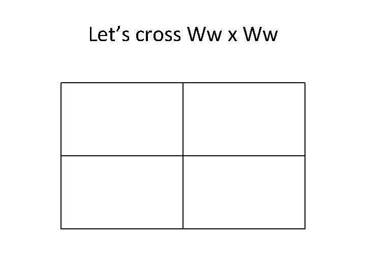 Let’s cross Ww x Ww 