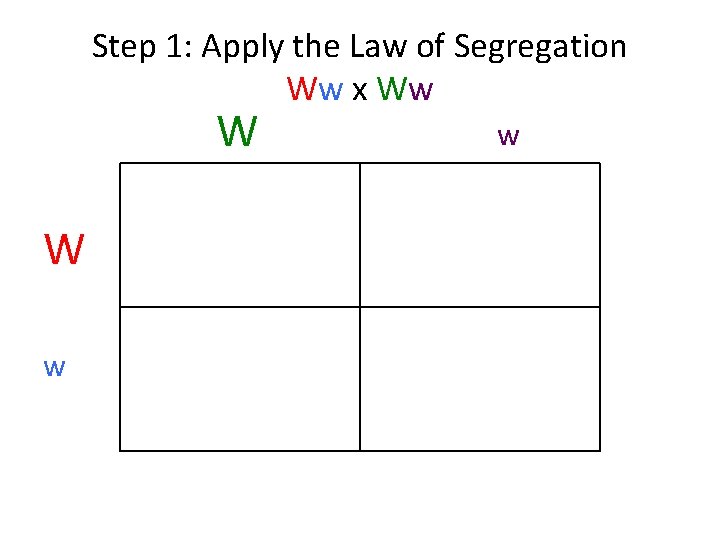 Step 1: Apply the Law of Segregation Ww x Ww W W w w