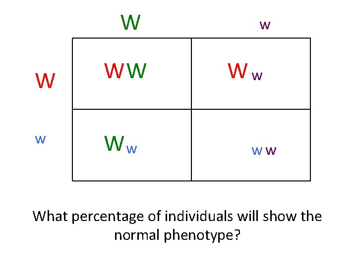 W W w WW Ww ww What percentage of individuals will show the normal