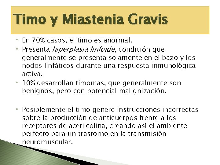 Timo y Miastenia Gravis En 70% casos, el timo es anormal. Presenta hiperplasia linfoide,