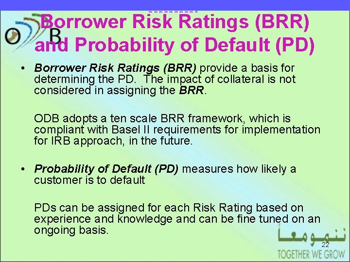 DRAFT EARLIER MODEL Borrower Risk Ratings (BRR) and Probability of Default (PD) • Borrower