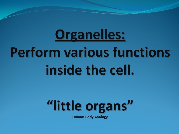 Organelles: Perform various functions inside the cell. “little organs” Human Body Analogy 