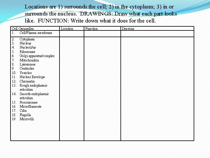 Locations are 1) surrounds the cell; 2) in the cytoplasm; 3) in or surrounds