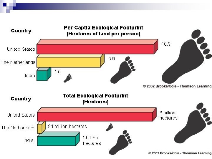 Ecological Footprint Fig. 2/20/2021 1 -8 p. 10 22 