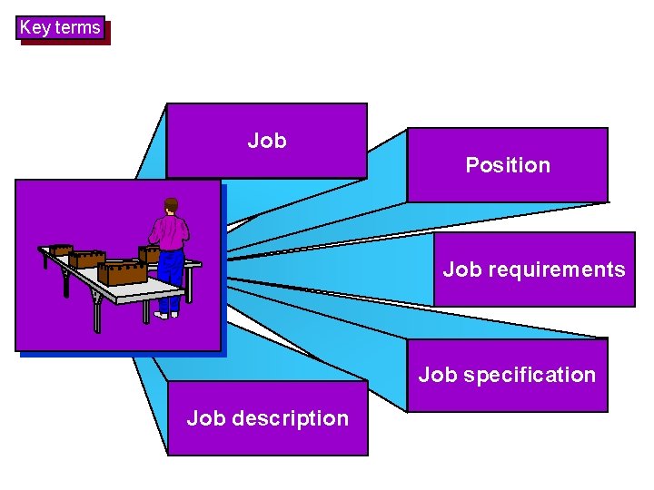 Key terms Job Position Job requirements Job specification Job description 