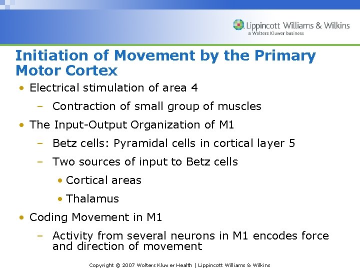 Initiation of Movement by the Primary Motor Cortex • Electrical stimulation of area 4