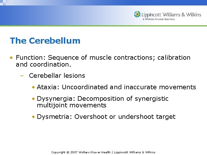 The Cerebellum • Function: Sequence of muscle contractions; calibration and coordination. – Cerebellar lesions
