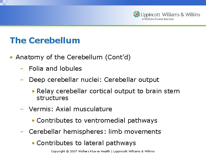 The Cerebellum • Anatomy of the Cerebellum (Cont’d) – Folia and lobules – Deep